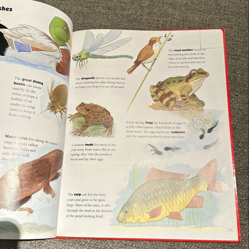 Reader's Digest Children's Book of Animals