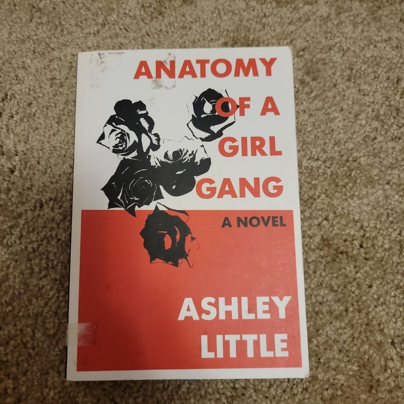 Anatomy of a Girl Gang