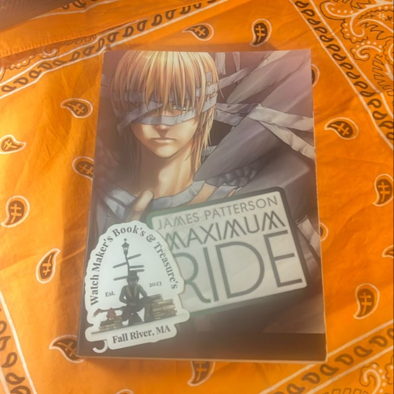 Maximum Ride: the Manga, Vol. 3