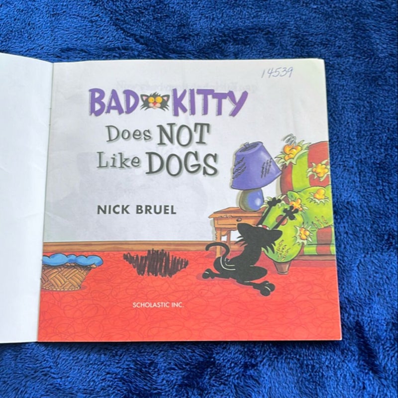 Bad Kitty