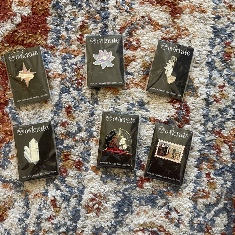 Owlcrate pins