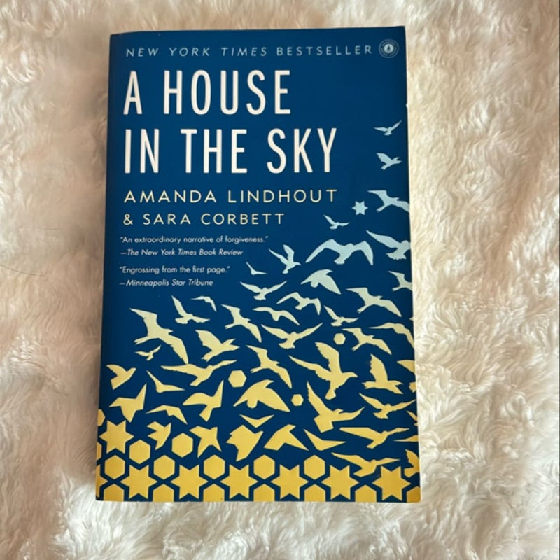 A House in the Sky