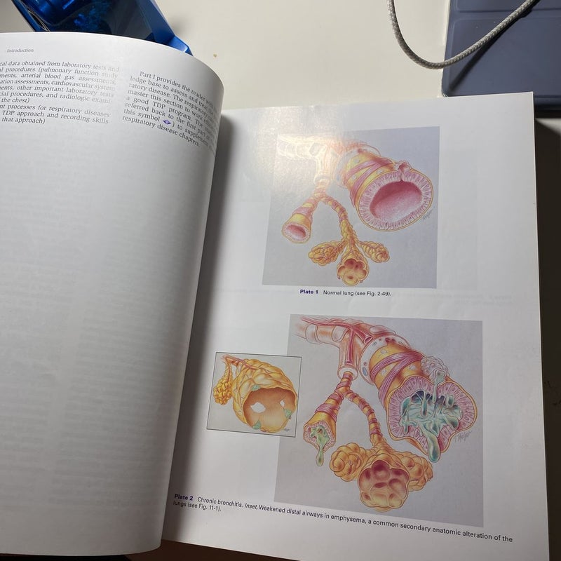 Clinical Manifestations and Assessment of Respiratory Disease