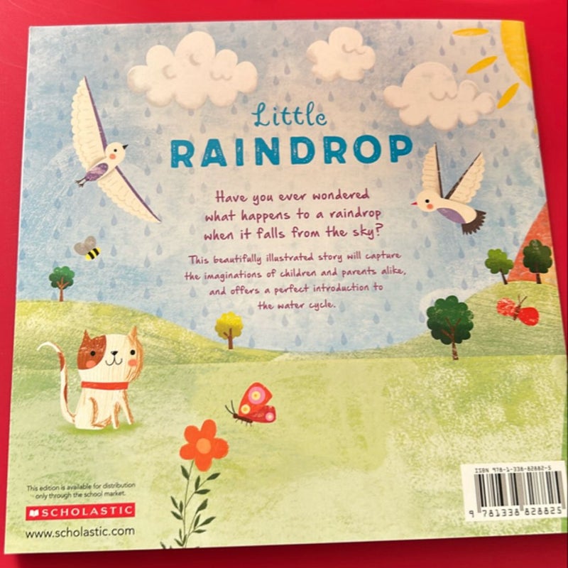 Little Raindrop