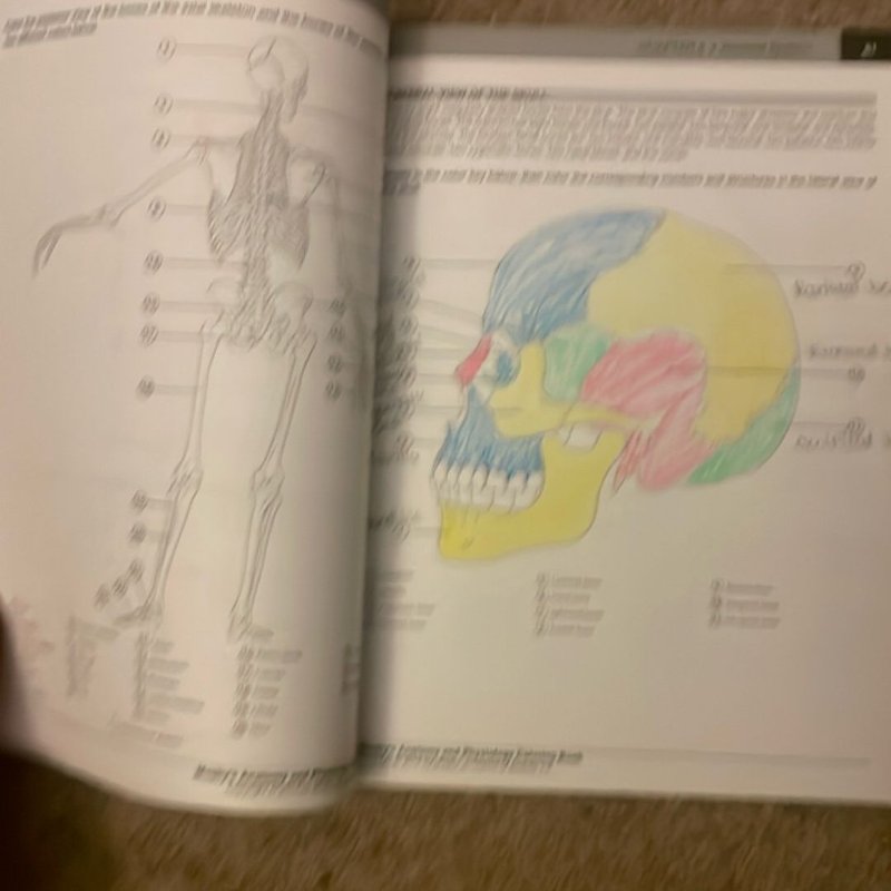Mosby's Anatomy and Physiology Coloring Book