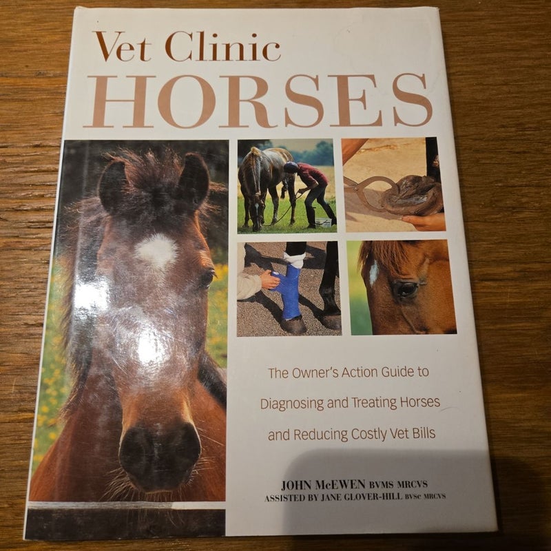 Vet Clinic for Horses