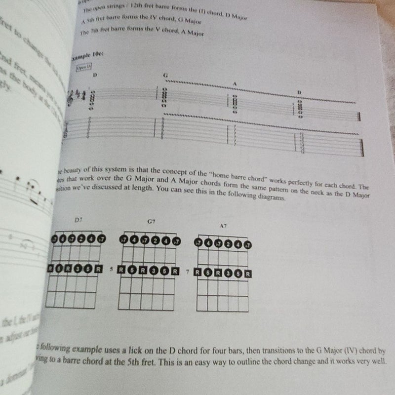 Delta Blues Slide Guitar
