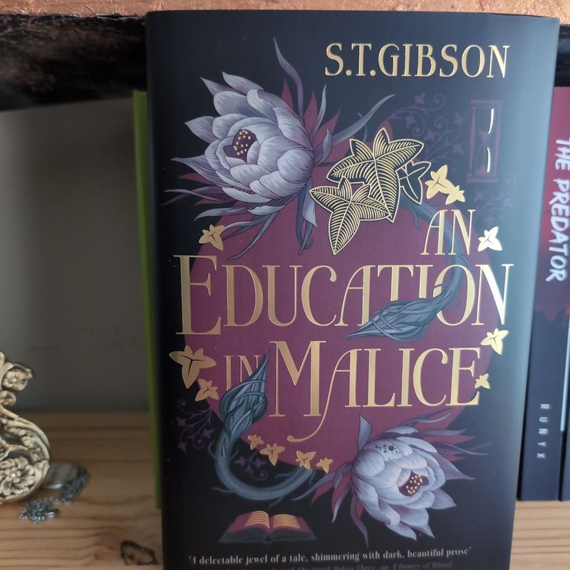 Fairyloot An Education in Malice