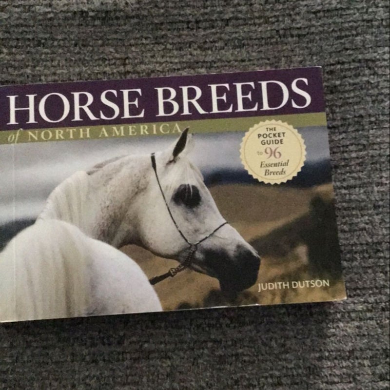 Horse Breeds of North America