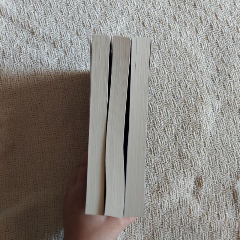 Druid Detective Agency 1-3