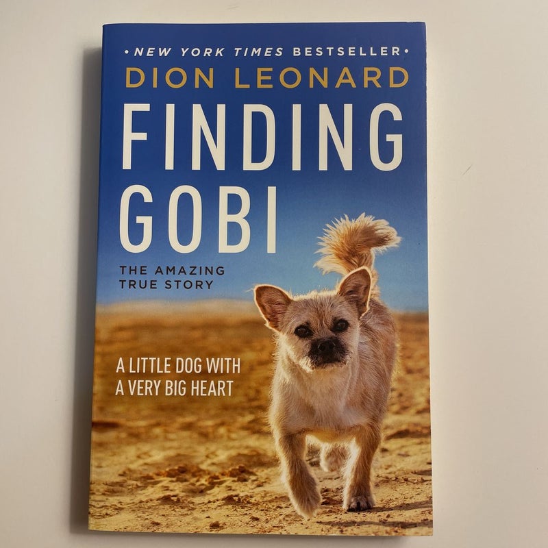 Finding Gobi