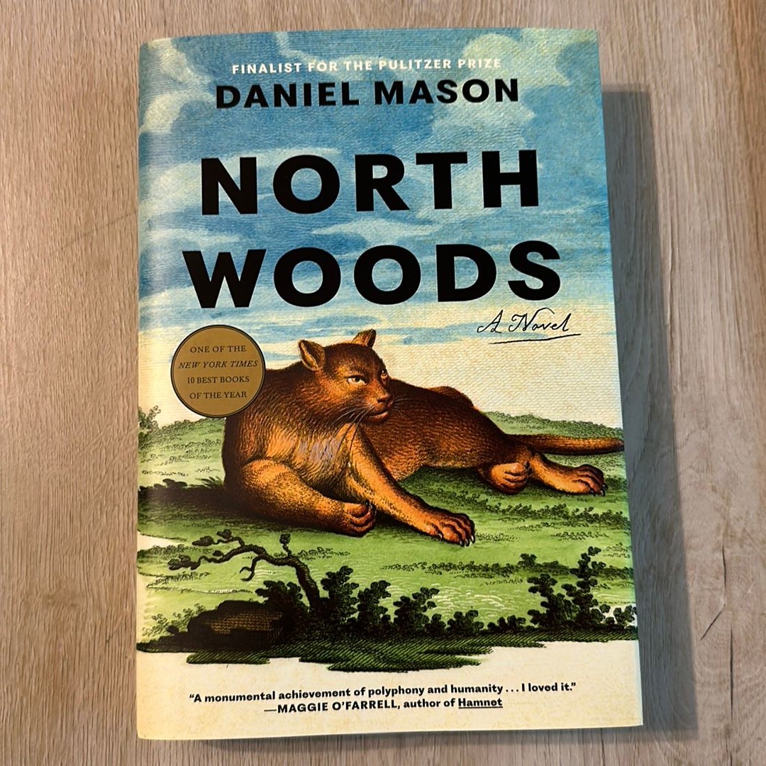 North Woods: A Novel: Mason, Daniel: 9780593597033: : Books