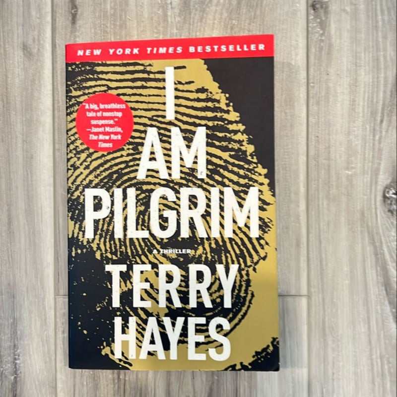 I Am Pilgrim