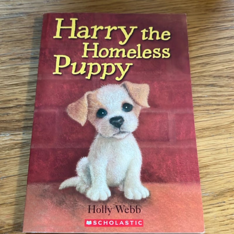 Harry the Homeless Puppy