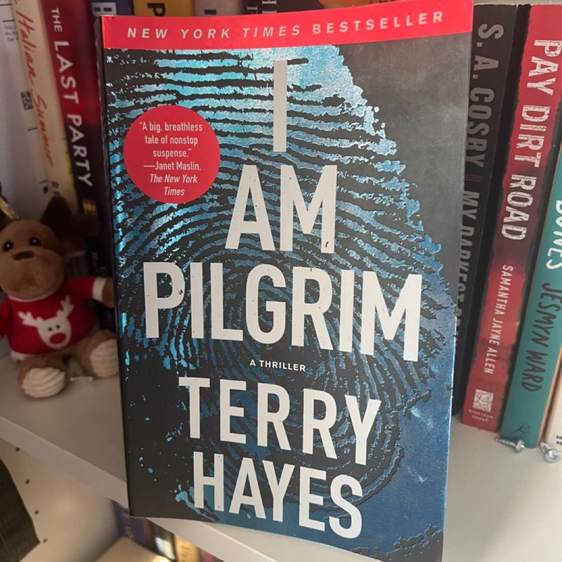 I Am Pilgrim