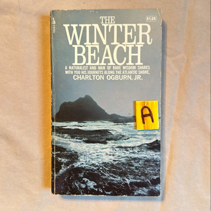 Winter Beach