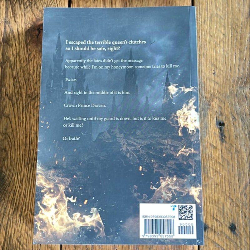Dragon Fight *oop cover*