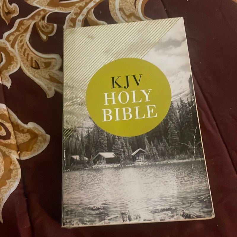 KJV Value Outreach Bible [Green]