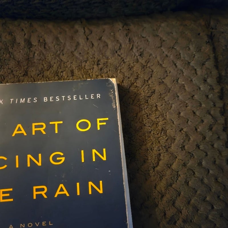 The Art of Racing in the Rain