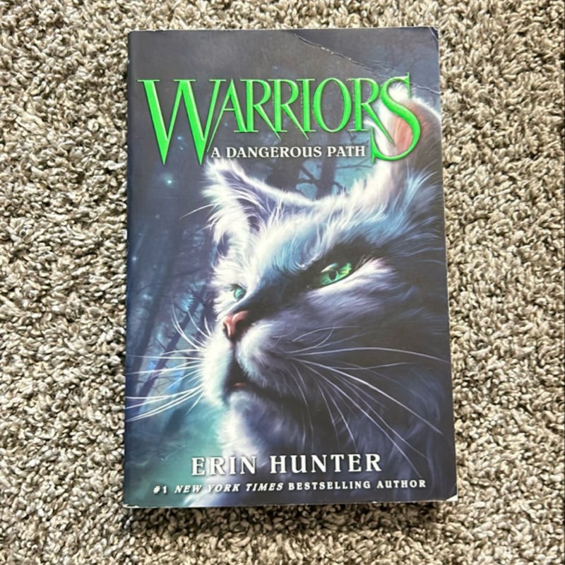 Warriors #5: a Dangerous Path