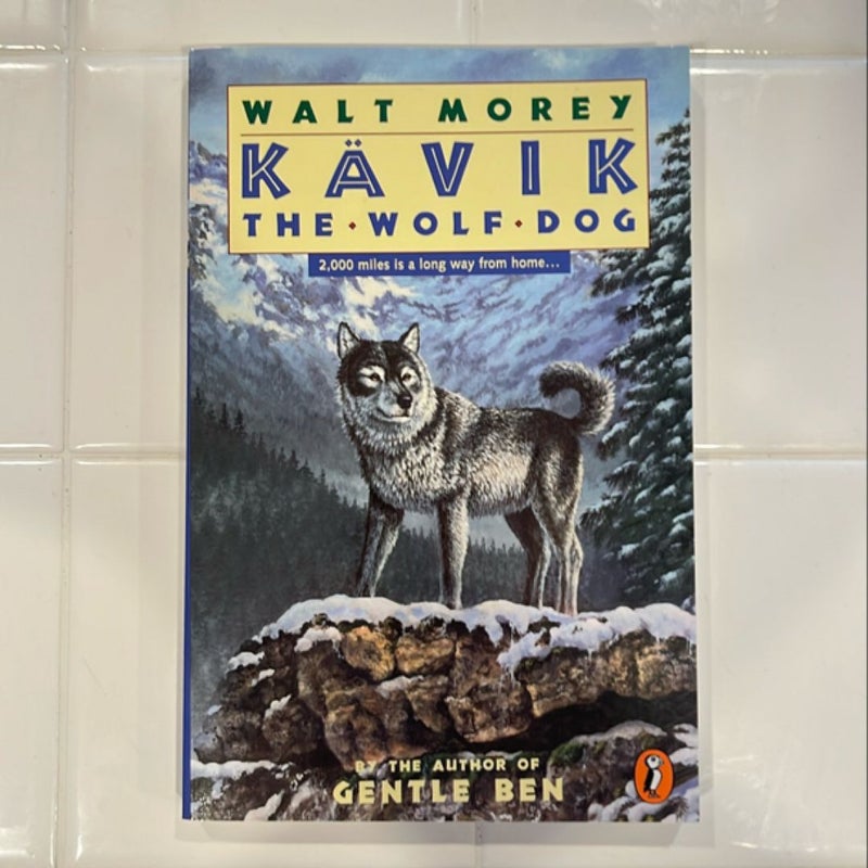Kavik the Wolf Dog
