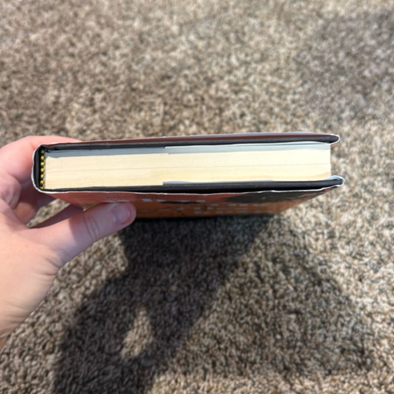 What the Fireflies Knew