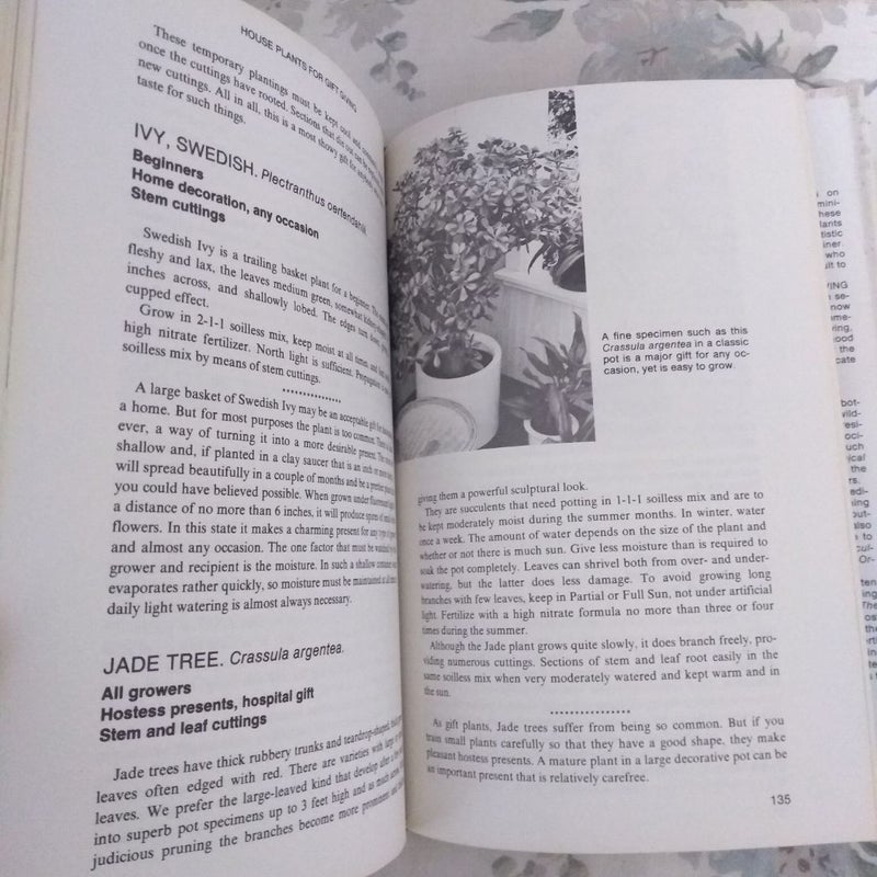 Farm Journals's Houseplants for Gift Giving