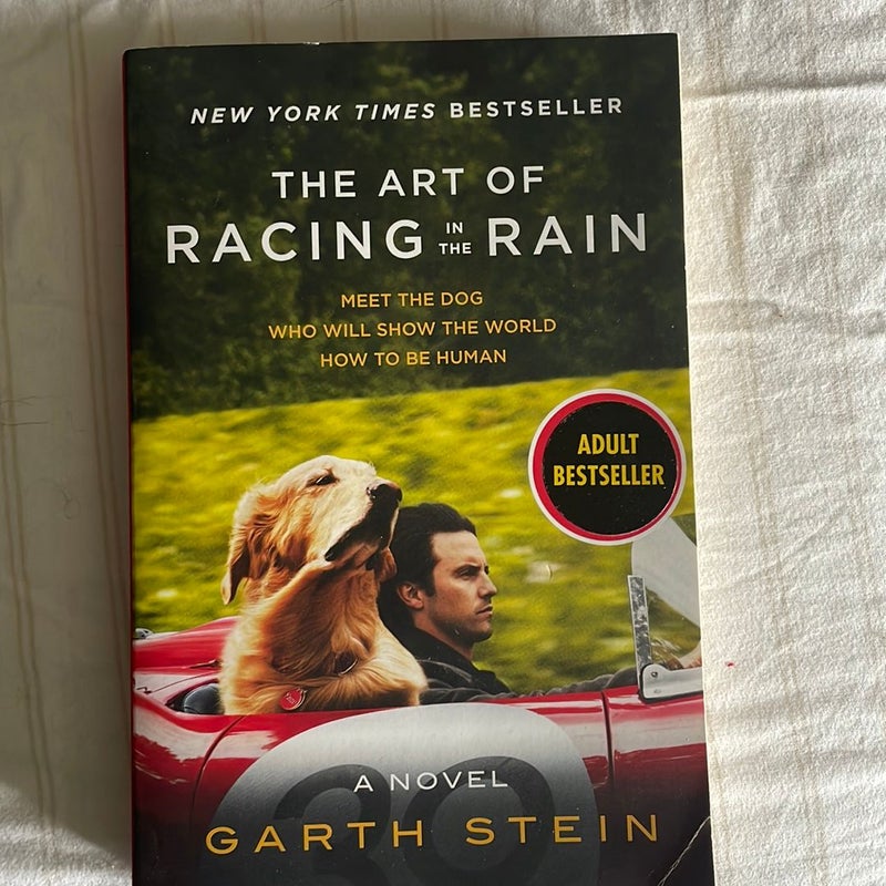 The Art of Racing in the Rain Tie-In