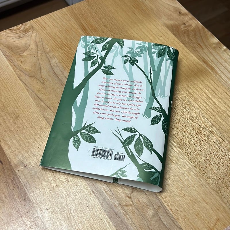 Linger (DUSTJACKET ONLY)