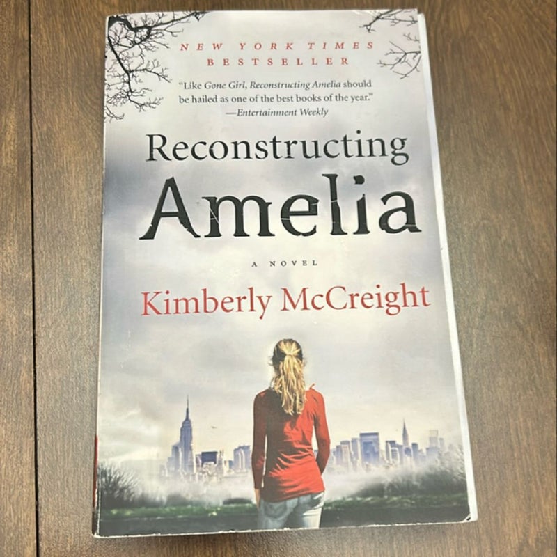 Reconstructing Amelia