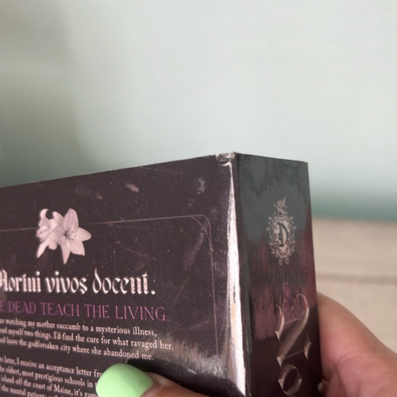 OOP Nocticadia: a Dark Academia Gothic Romance