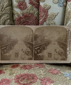 Antique Stereo-View Card