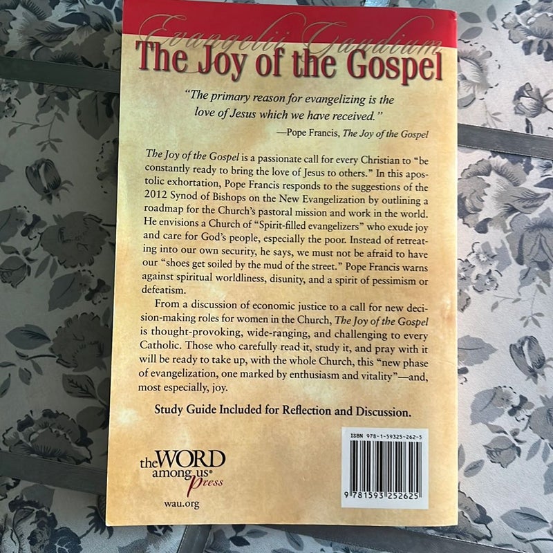 The Joy of the Gospel