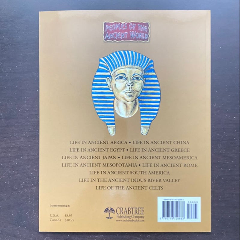 Life in Ancient Egypt by Paul C. Challen, Paul Challen
