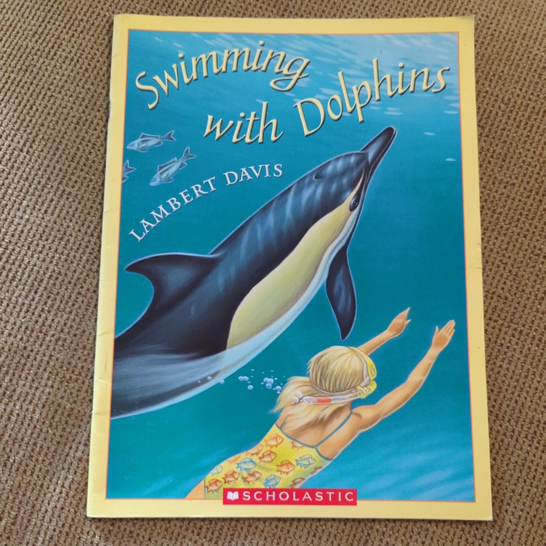 Swimming with Dolphins