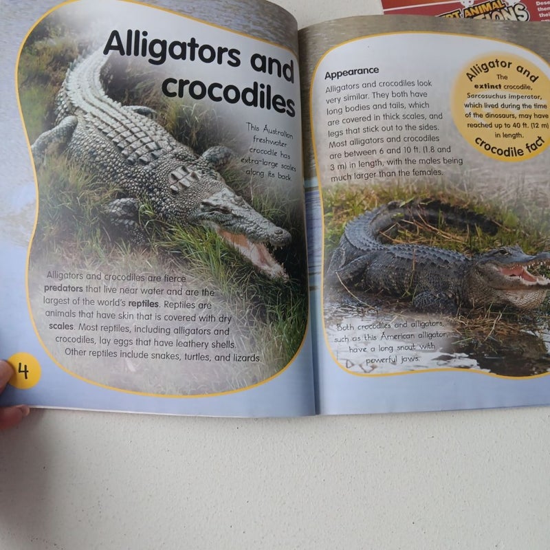 2 Book Bundle: Alligators And Crocodiles; Desert Animal Adaptations