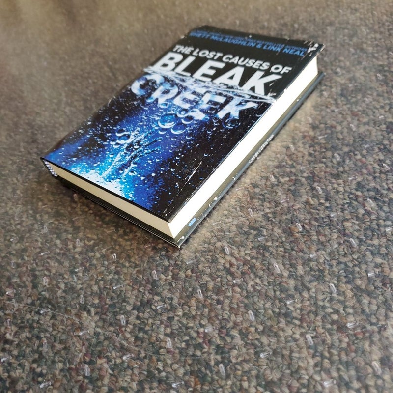 The Lost Causes of Bleak Creek