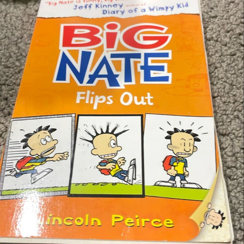 Big Nate Flips Out