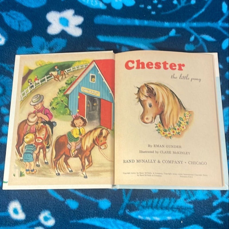 Chester The Little Pony