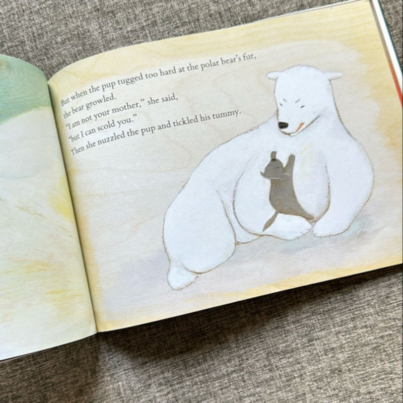 Pup and Bear