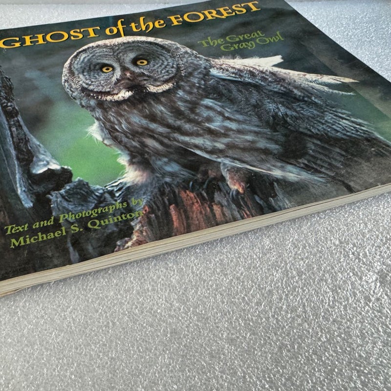 Ghost of the Forest