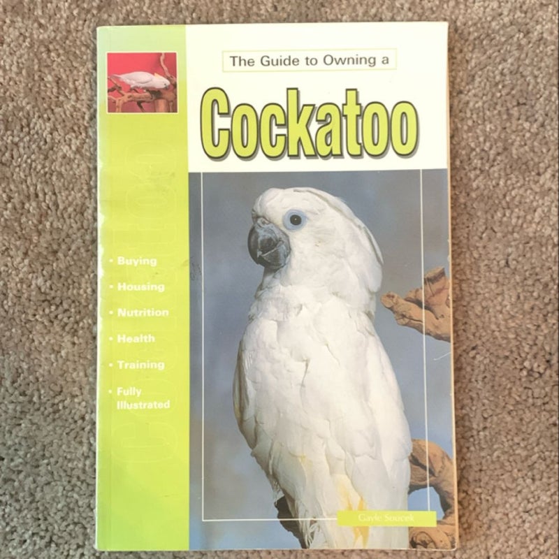 The Guide to Owning a Cockatoo