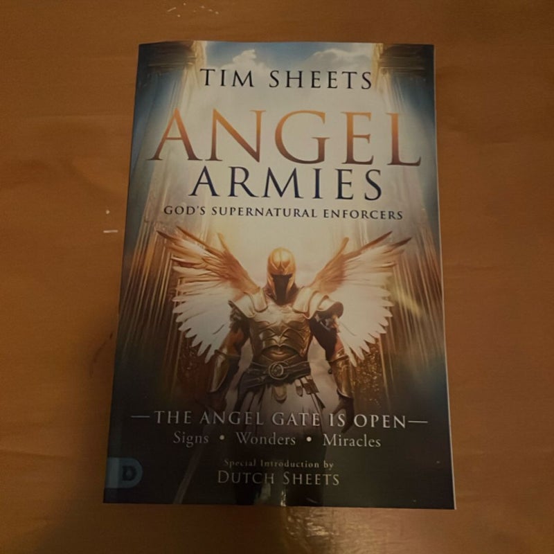 Angel Armies: God's Supernatural Enforcers