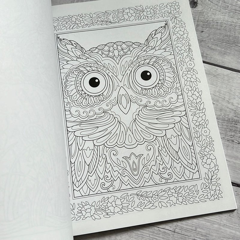 Creative Haven Birds and Blossoms Coloring Book