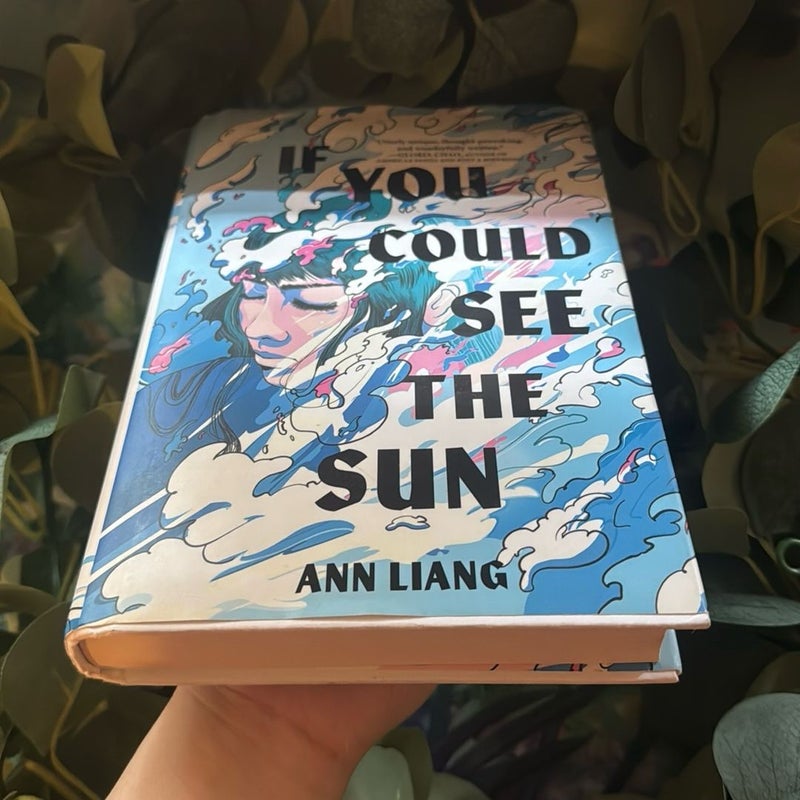 If You Could See the Sun