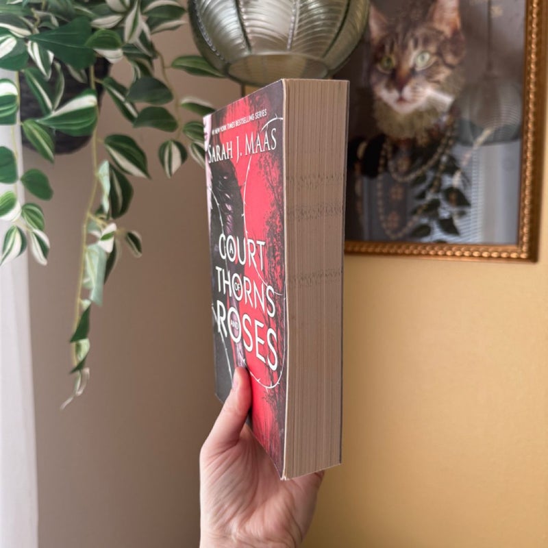 OOP A Court of Thorns and Roses