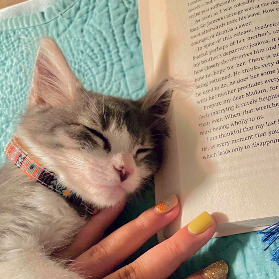 BookLeif