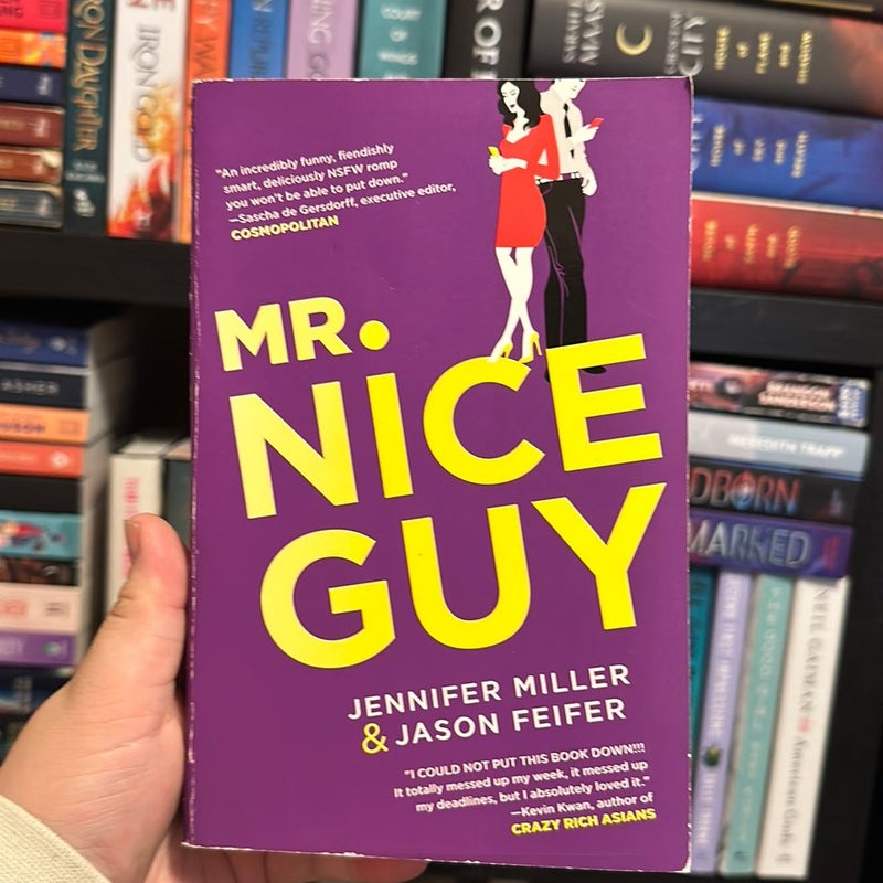 Mr. Nice Guy