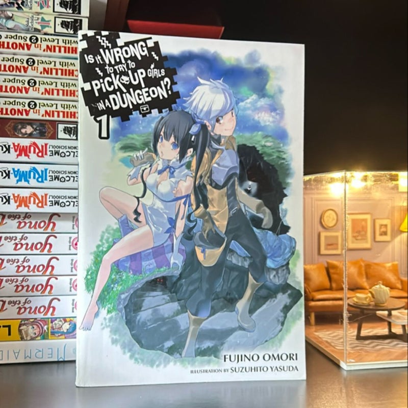 Is It Wrong to Try to Pick up Girls in a Dungeon?, Vol. 1 (light Novel)