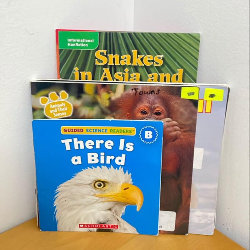 Animal Literacy Bundle